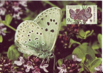CM 041 A / 044 A - WWF malé razítko ● - 2002